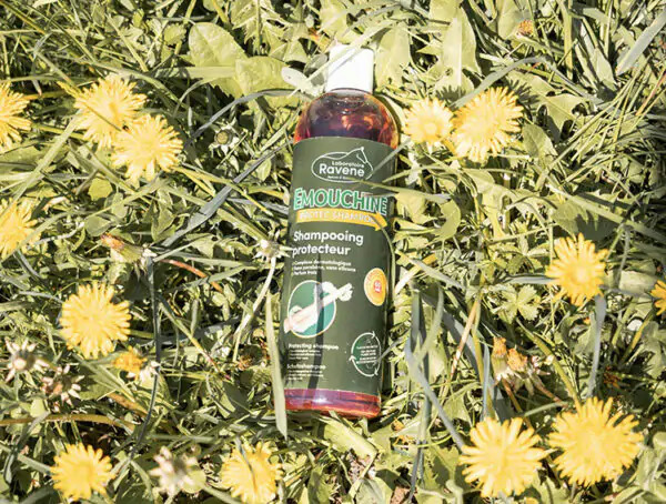 Shampoing RAVENE "Émouchine Protec"