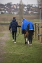 Veste matelassée EQUITHÈME "Michael"