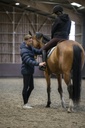 Veste matelassée EQUITHÈME "Michael"