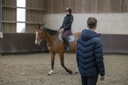 Veste matelassée EQUITHÈME "Michael"