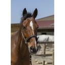 Licol + longe NORTON "Brillant"