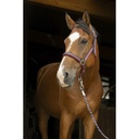 Licol + longe NORTON "Brillant"