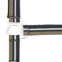 Licol + longe NORTON "Brillant"