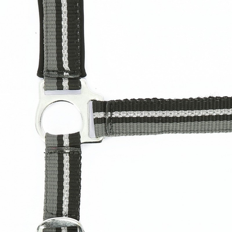 Licol + longe NORTON "Brillant"