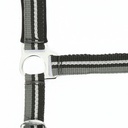 Licol + longe NORTON "Brillant"