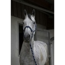 Licol + longe EQUITHÈME "Satiné"