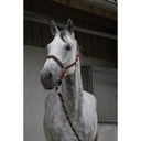 Licol + longe EQUITHÈME "Satiné"