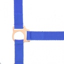 Licol + longe NORTON "Rose gold"
