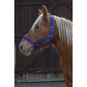 Licol NORTON PRO pour cheval de trait