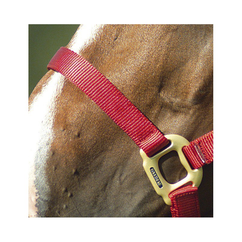 Licol EQUITHÈME “Nylon”
