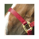 Licol EQUITHÈME “Nylon”