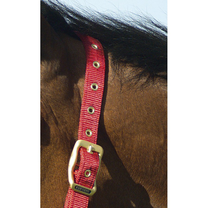 Licol EQUITHÈME “Nylon”