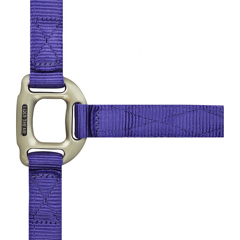 Licol EQUITHÈME “Nylon”