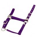 Licol EQUITHÈME “Nylon”