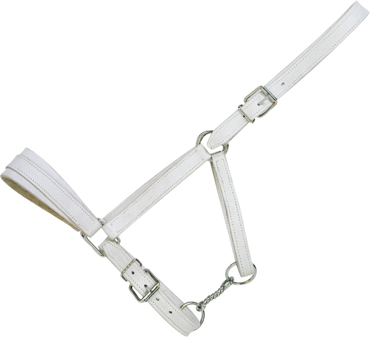 [510320] Licol cuir chromé NORTON CLUB