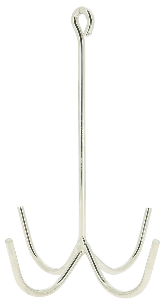 [700400] HIPPOTONIC presentation anchor