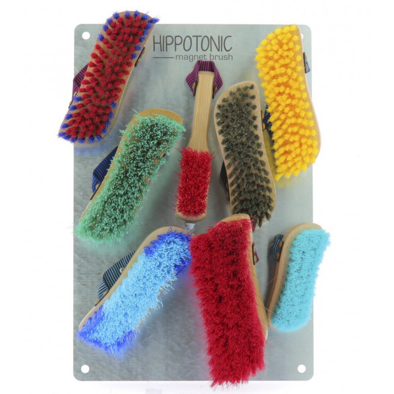 Plaque HIPPOTONIC -Magnet Brush-