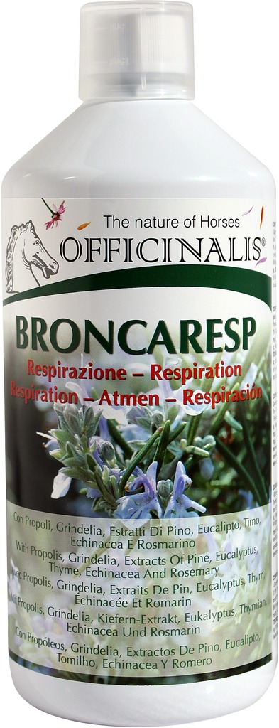 [709480] Aliment complémentaire OFFICINALIS® “Broncaresp Eucalyptus”