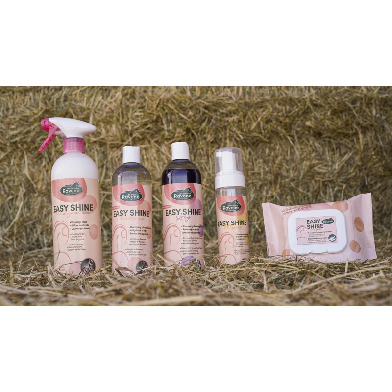 [718012] Easy Shine Grey RAVENE