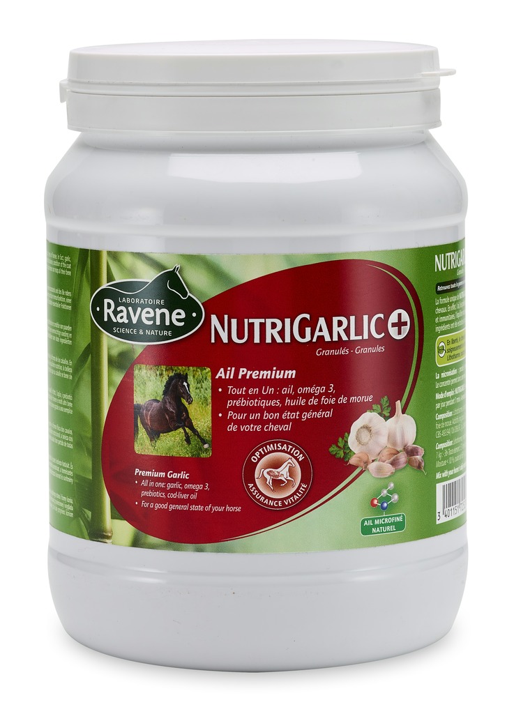 [718027] Nutrigarlic+ RAVENE