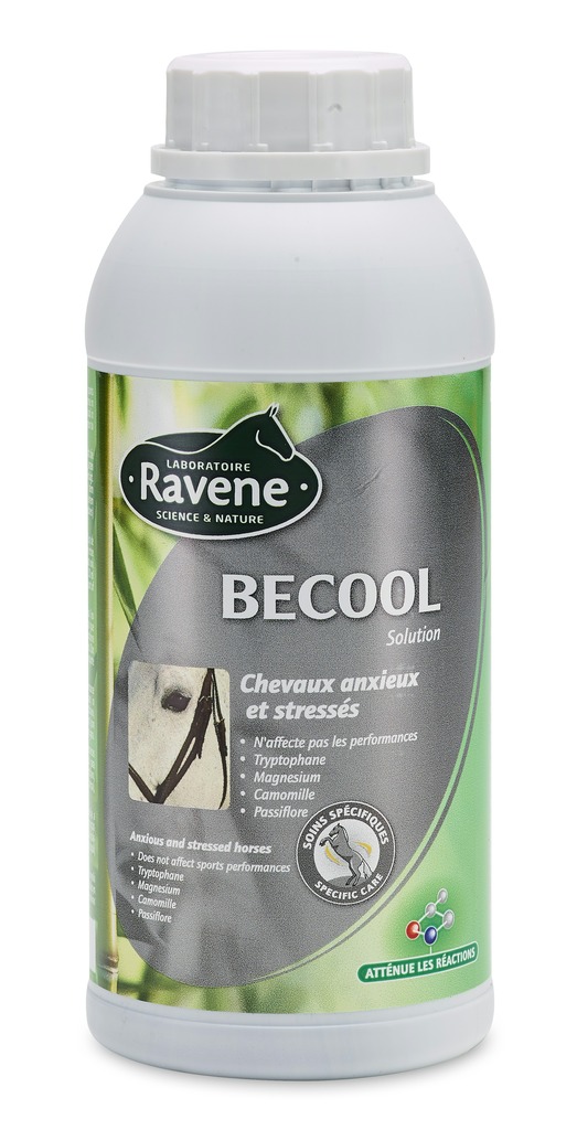 Becool RAVENE