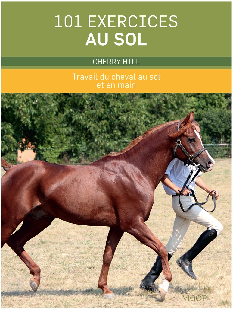 [903230] 101 Exercices au sol