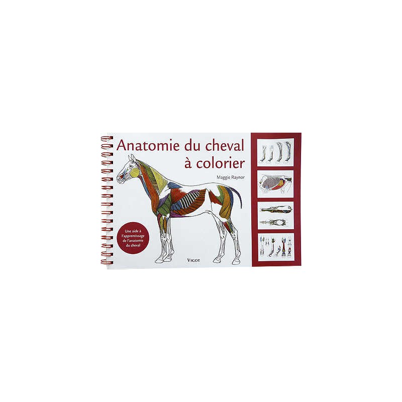 [903328] Anatomie du cheval à colorier