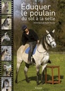 Éduquer le poulain du sol à la selle