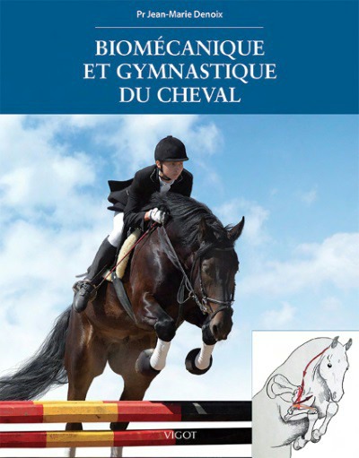 [903351] Biomécanique et gymnastique du cheval