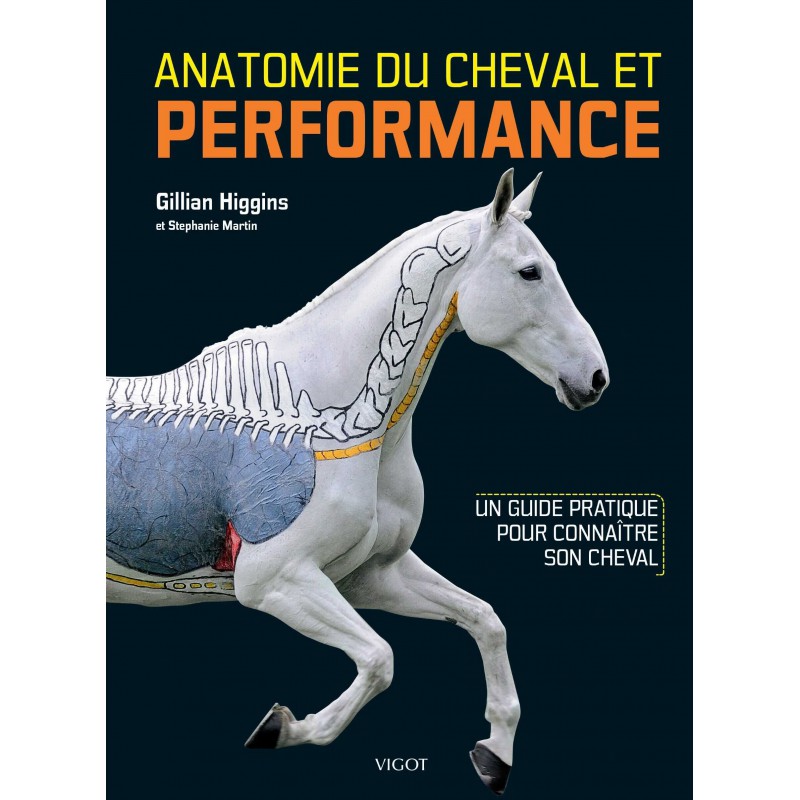 [903378] Anatomie du cheval & Performance