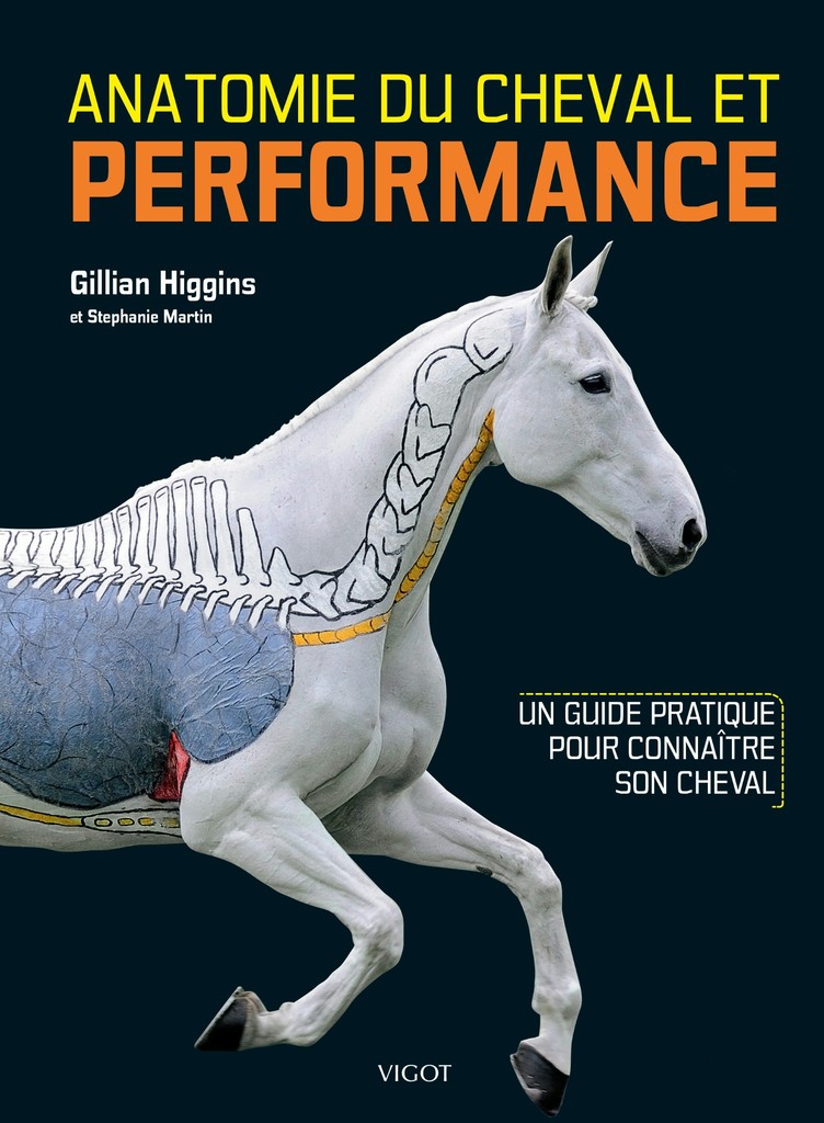 Anatomie du cheval & Performance