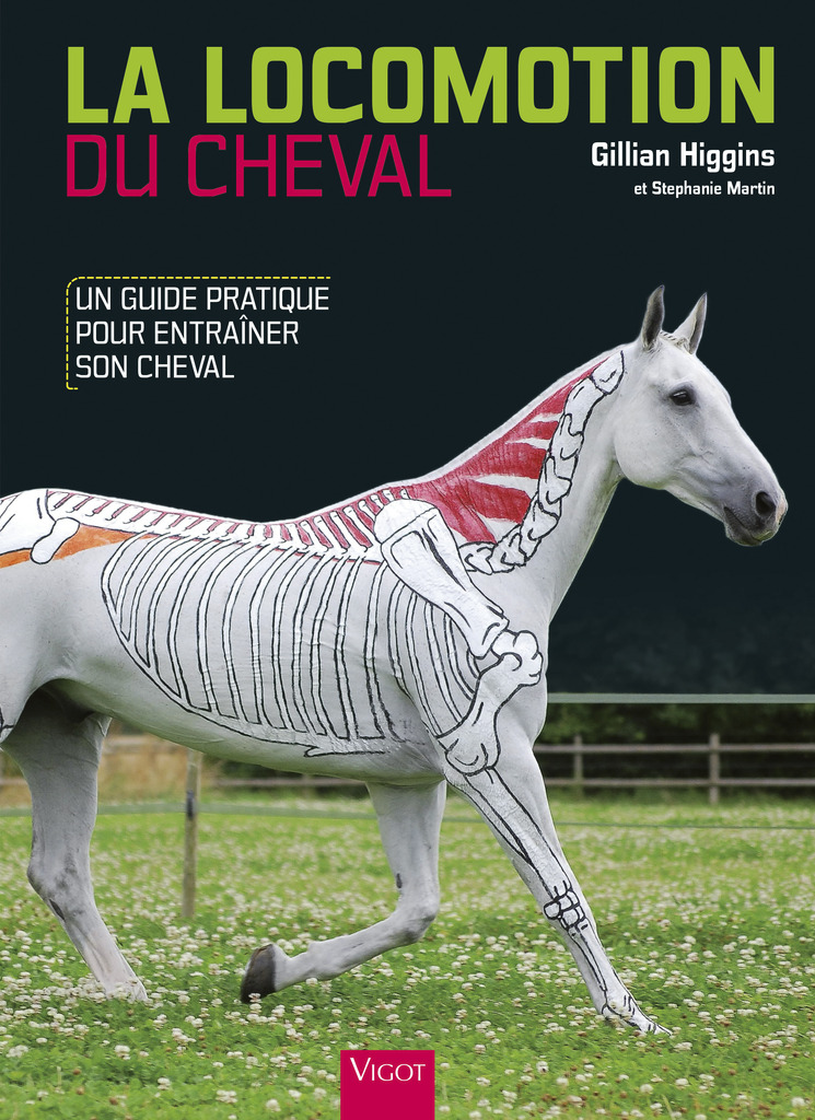 La Locomotion du Cheval