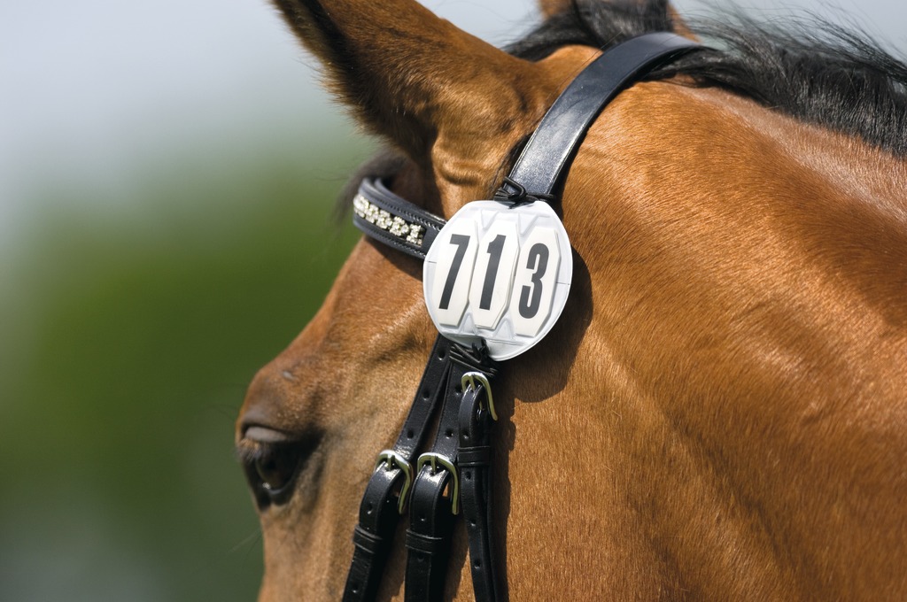 Numéro de départ 3 chiffres rond EQUITHEME