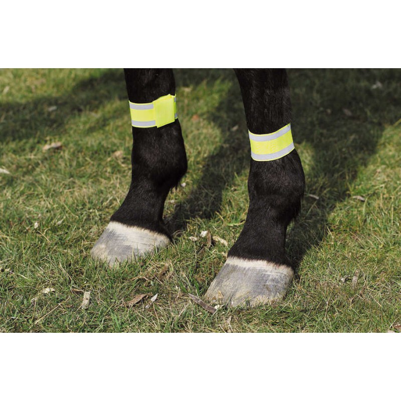 [930410] Bandages Fluo NORTON pour antérieurs