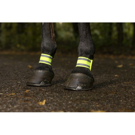 [930410] Bandages Fluo NORTON pour antérieurs