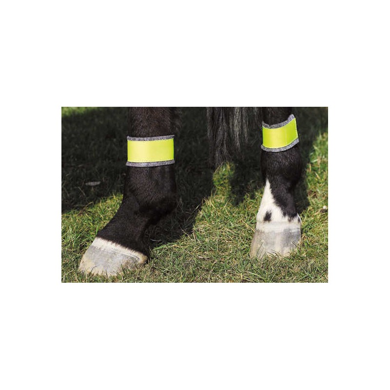 [930411] Bandages jaune NORTON pour postérieurs