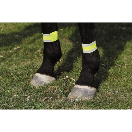 [930411] Bandages jaune NORTON pour postérieurs