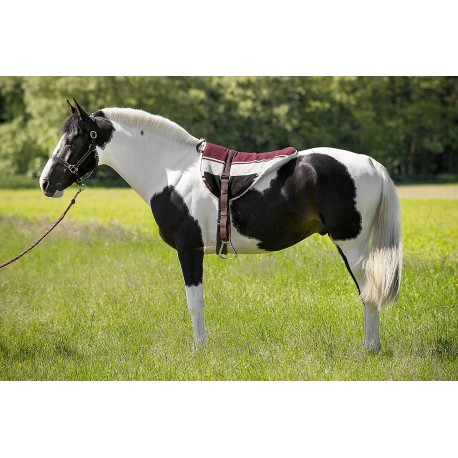 [101050004] Tapis de monte à cru NORTON