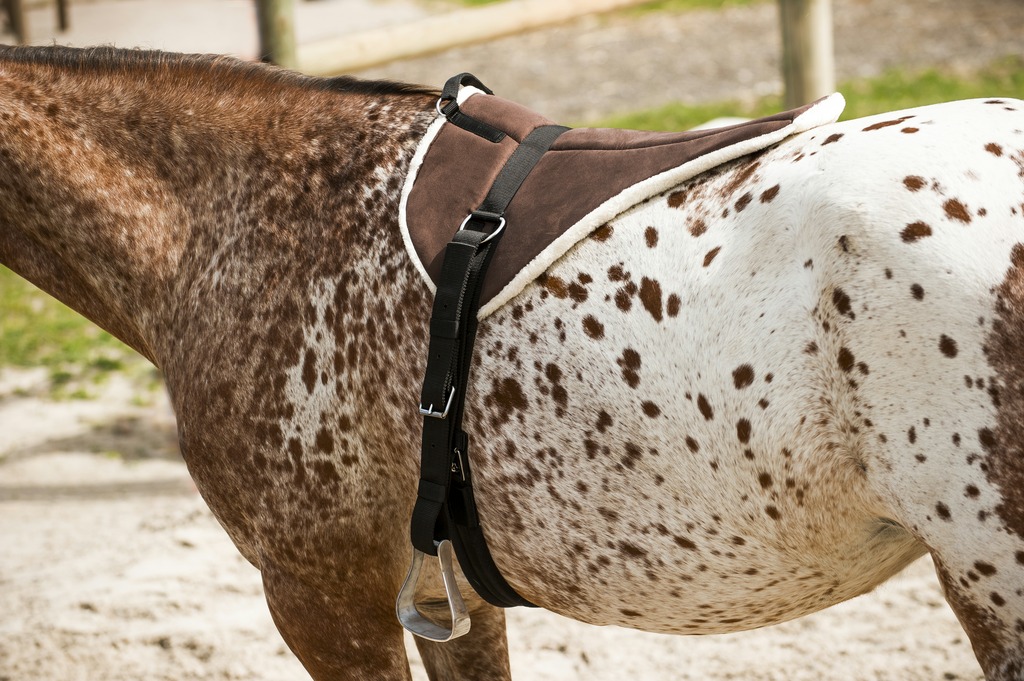 Tapis d'équitation à cru NORTON - Soft