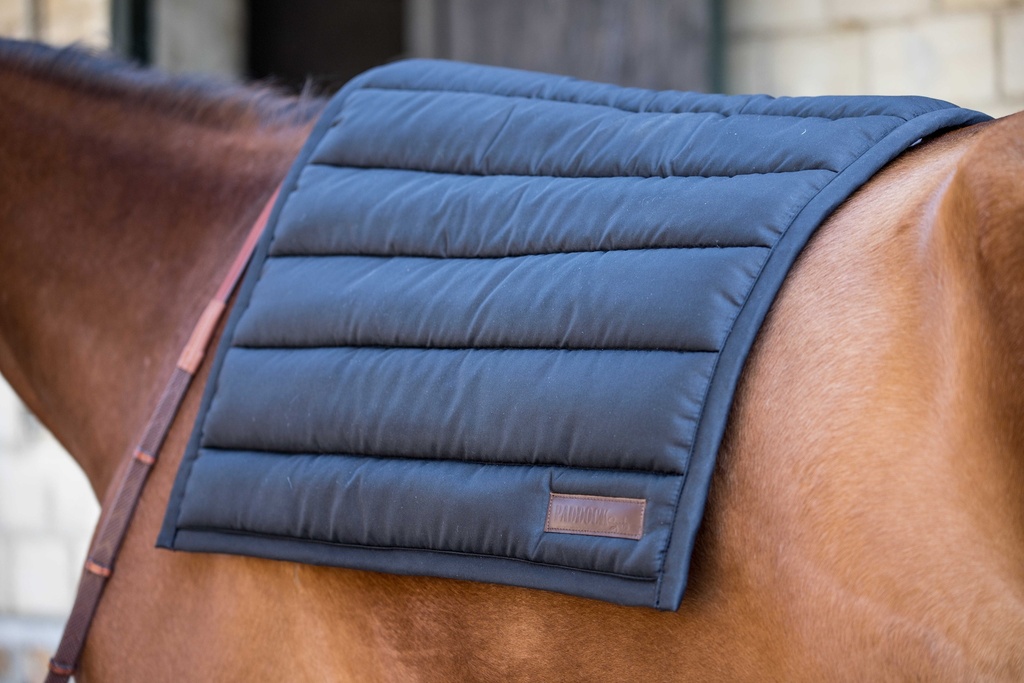 [204752002] Tapis Big Pad PADDOCK