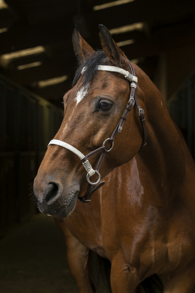 [301887218] Side Pull NORTON PRO "Tresse"