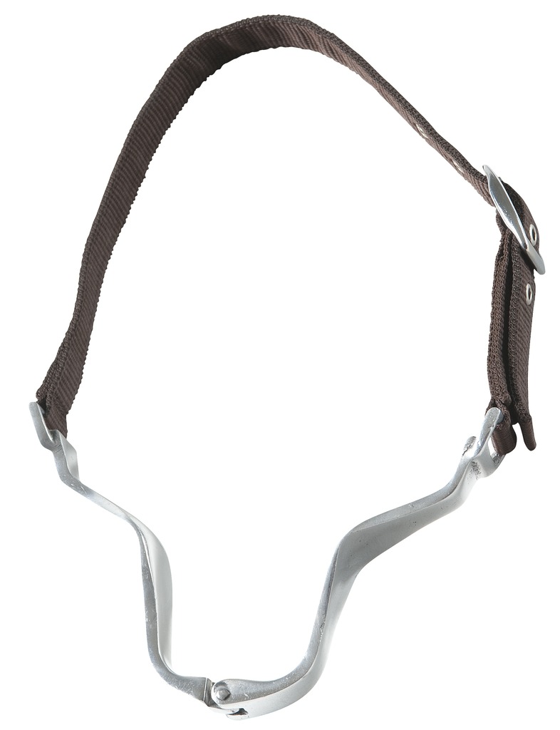 Collier anti-tiqueur NORTON