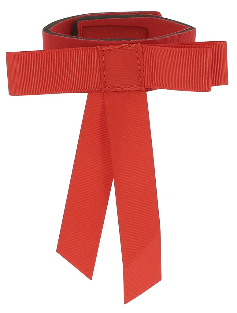 [306799003] Ruban de queue HIPPOTONIC