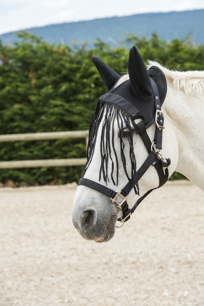 Bonnet mesh RIDING WORLD avec chasse-mouches éco