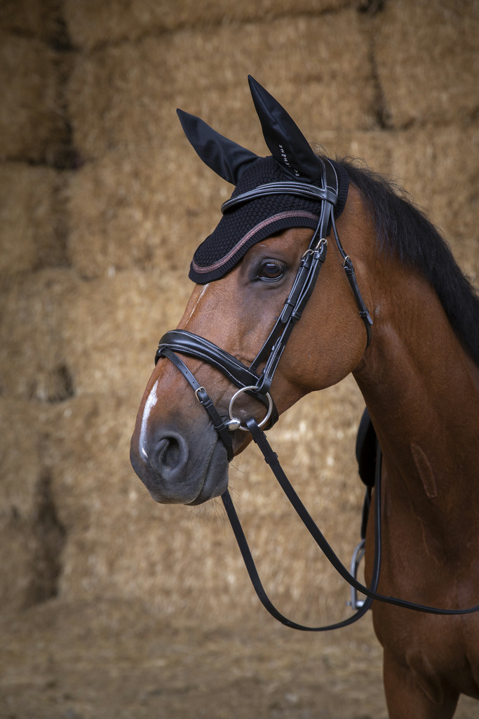 [306933004] Bonnet chasse-mouches EQUITHÈME "Glitter" (Noir/Marron)