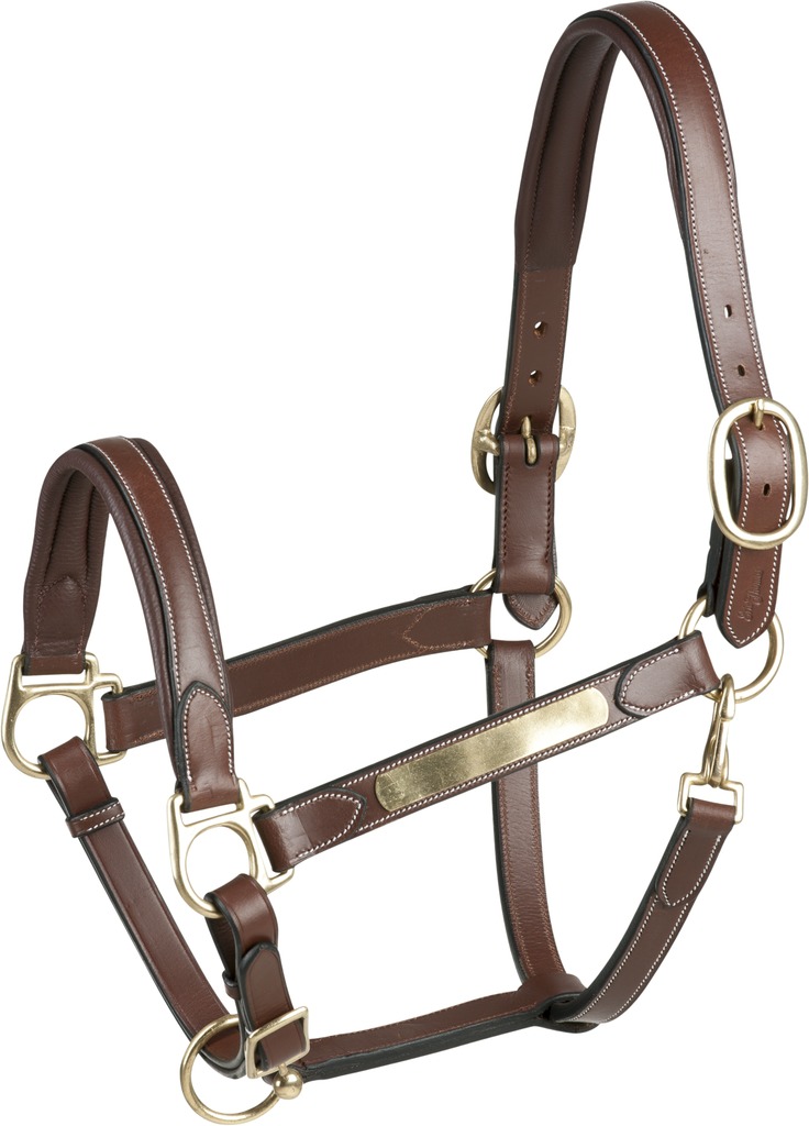 [307501318] Licol cuir ERIC THOMAS “Pro”