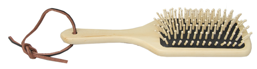 [311002006] Brosse à crins BORSTIQ