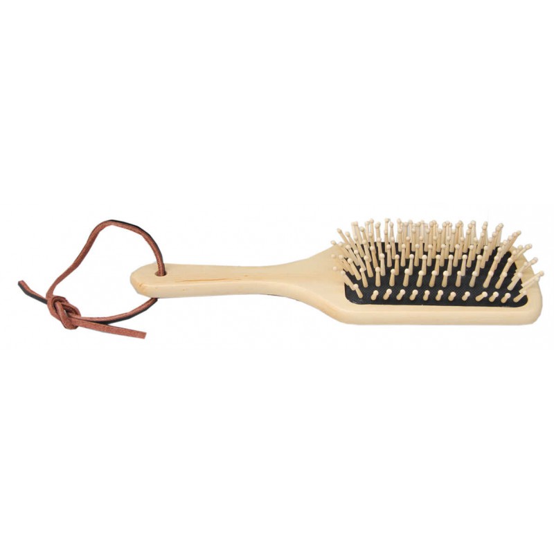 [311002006] Brosse à crins BORSTIQ