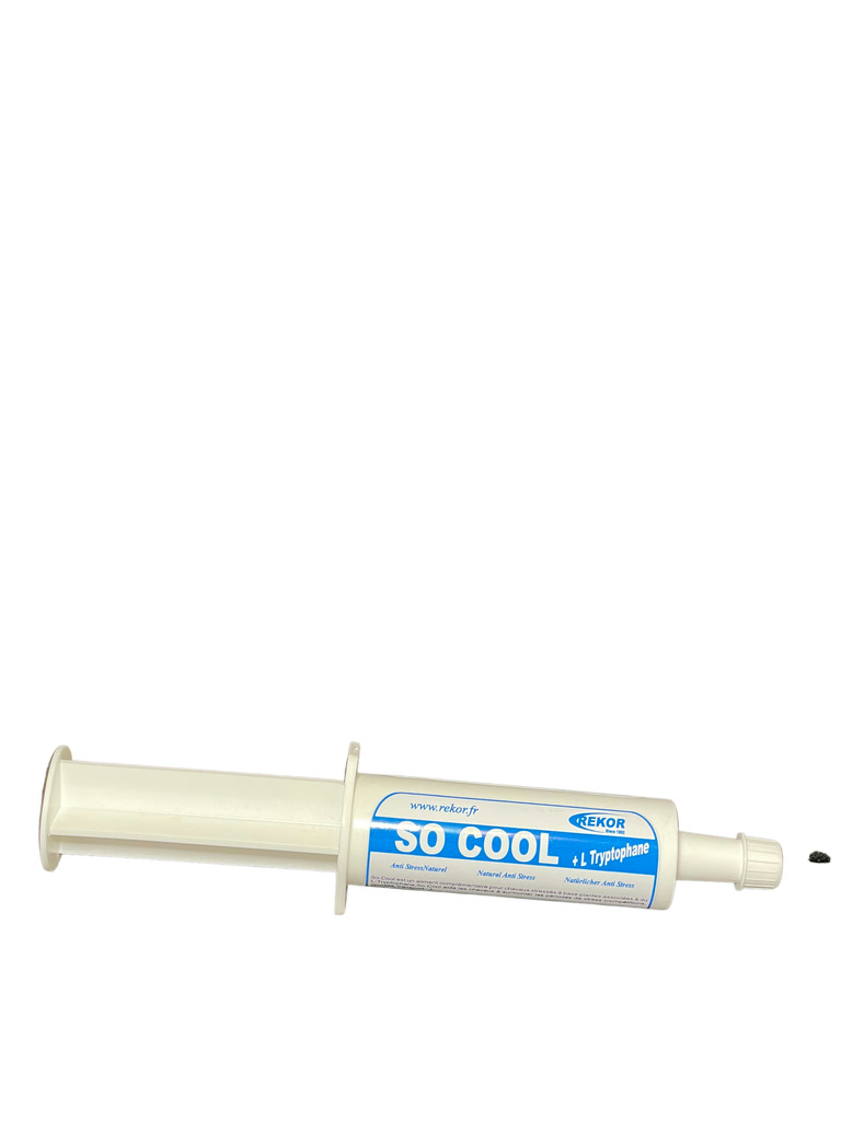 [385085060] "So Cool" Flash Complementary food - REKOR