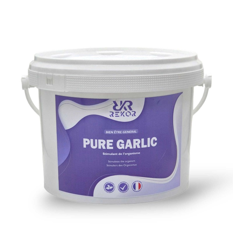 Ail semoule REKOR - Ail Pur